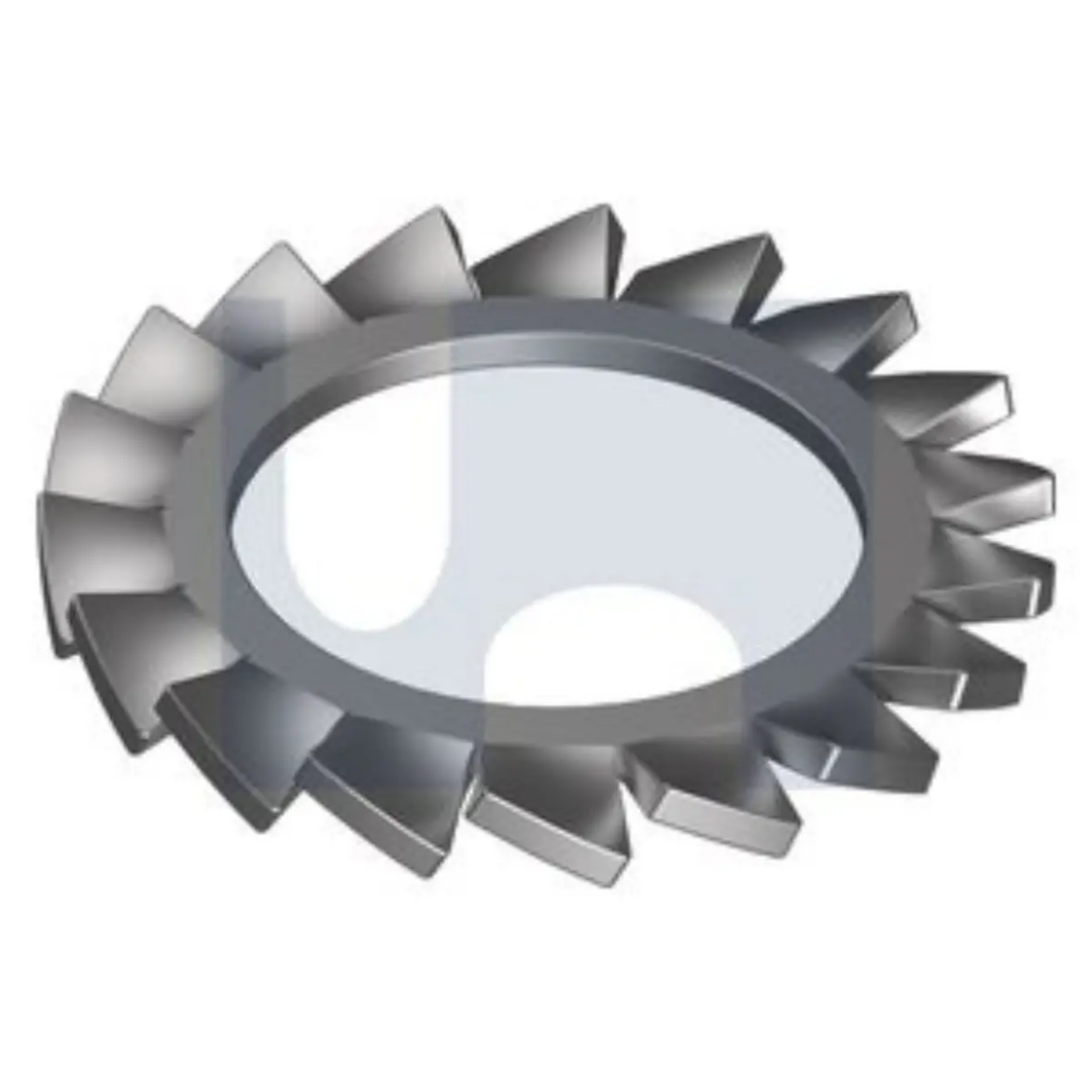 Picture of External Lock Washer, Metric, 6 x 11mm, Stainless 316
