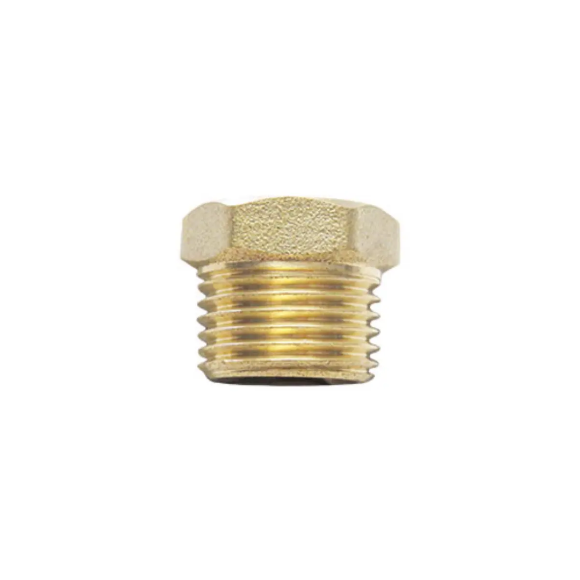 Picture of Plug, Brass, 3/4" BSPP Hollow