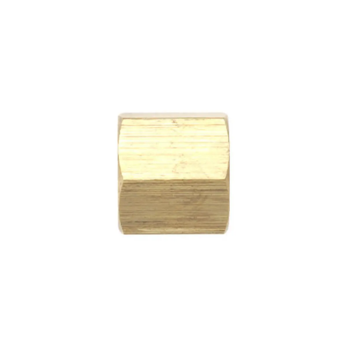 Picture of Socket, Brass, M22