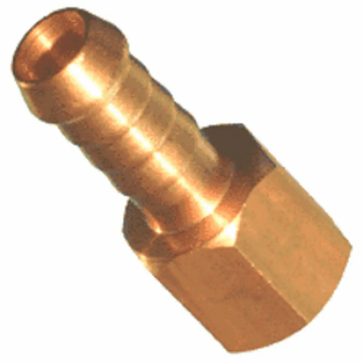 Picture of Hose Tail, Brass, 1/2" Barb x 3/8" BSP-F