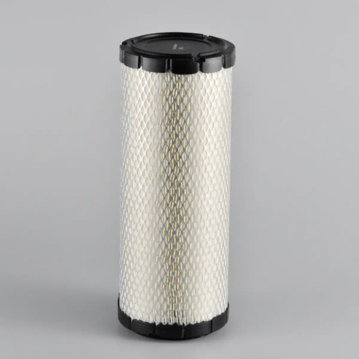 Picture of Filter, Air, Primary