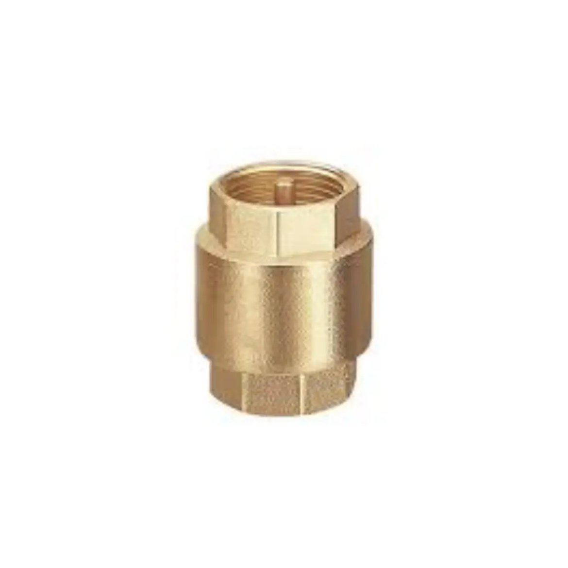 Picture of Check Valve, 1/2", Viton Seal