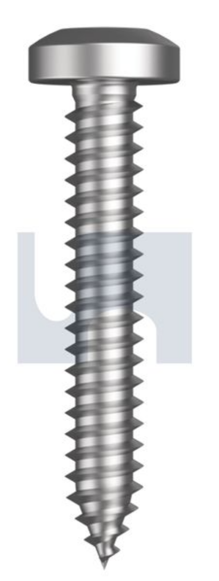 Picture of SF SELF TAPPER PAN PHIL, #10 x 3/4", STAINLESS 304, 100 PER BAG