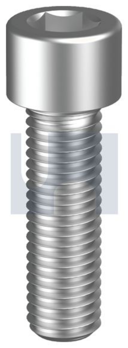 Picture of Capscrew, UNC, 1/4" x 2", Socket Head, Stainless 316