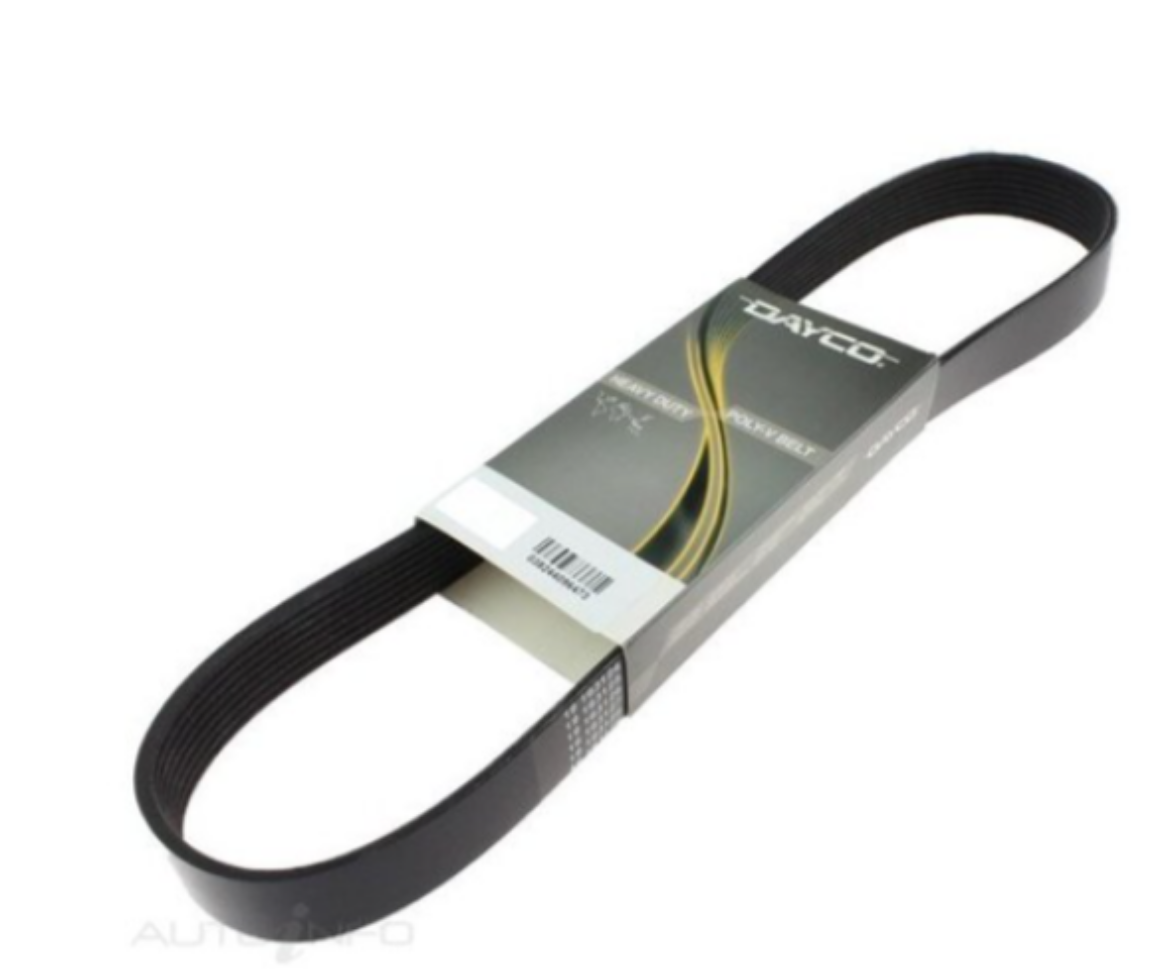 Picture of Automotive Belt Ribbed DAYCO 8PK Section