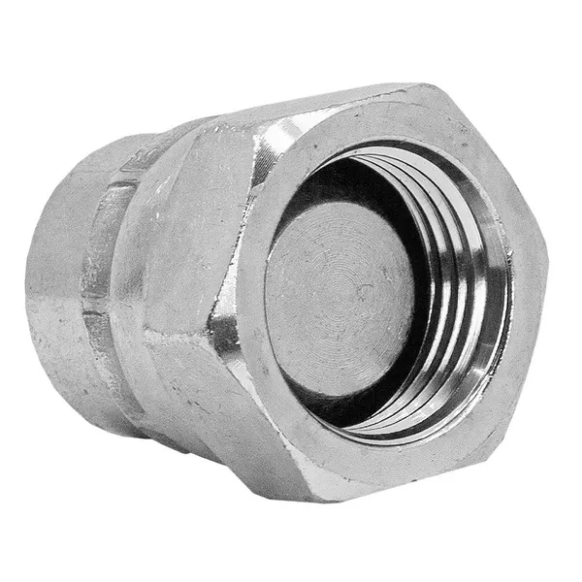 Picture of BSPPF SWIVEL CAP 1 1/4
