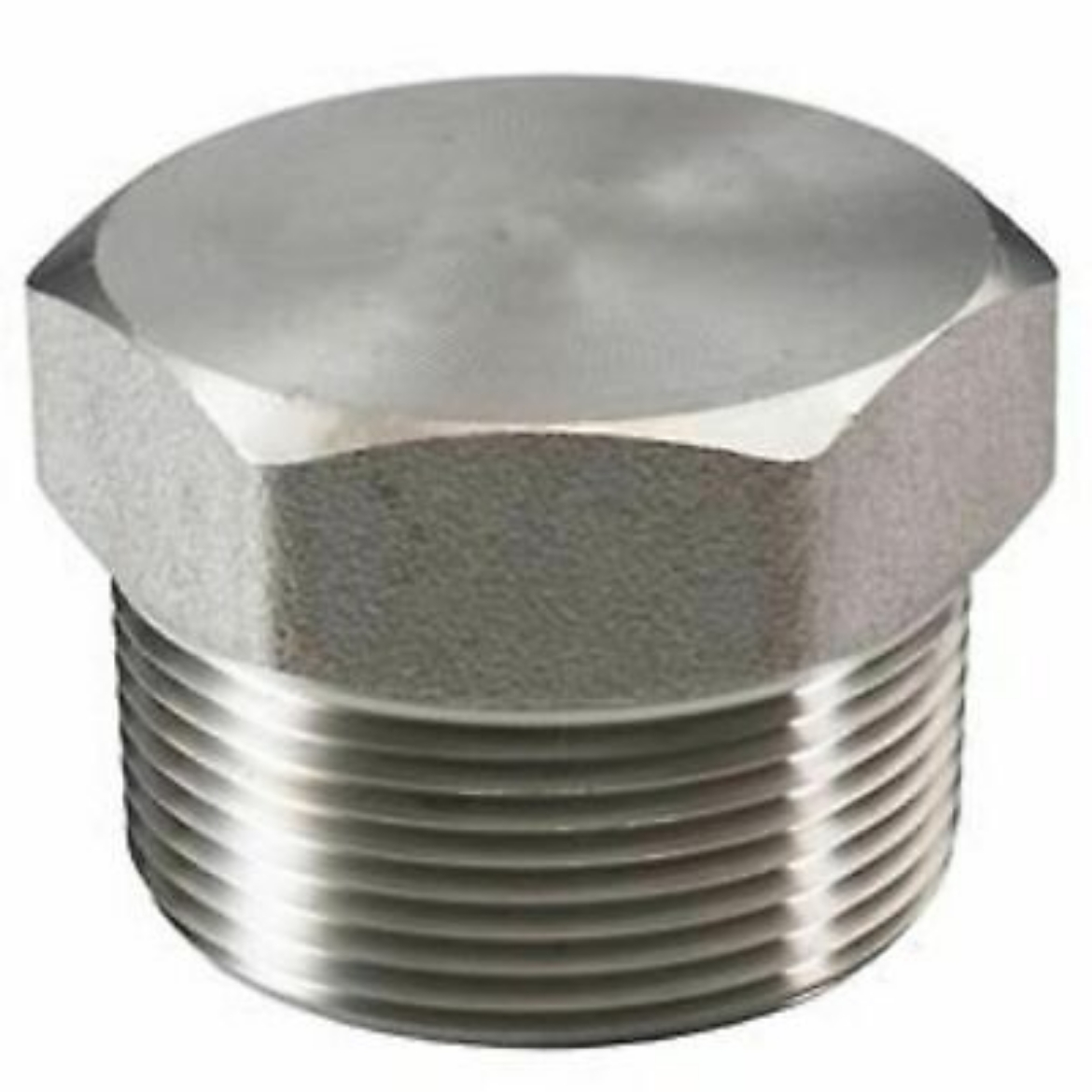 Picture of Plug, Stainless 316, LP, 1 1/4" BSPT
