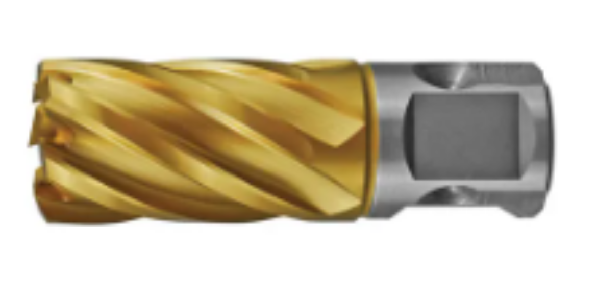 Picture of HOLEMAKER UNI SHANK GOLD SERIES CUTTER 50MM X 25MM									(6.34mm Pin SP16003)