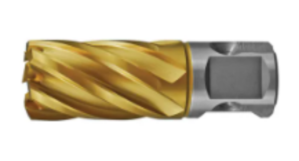 Picture of HOLEMAKER UNI SHANK GOLD SERIES CUTTER 22MM X 25MM									(6.34mm Pin SP16003)