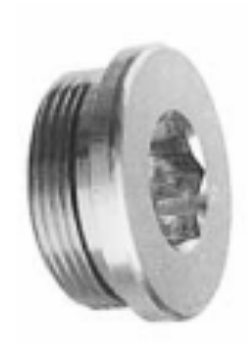 Picture of Plug, Metric, 24-1.5mm, In-Hex