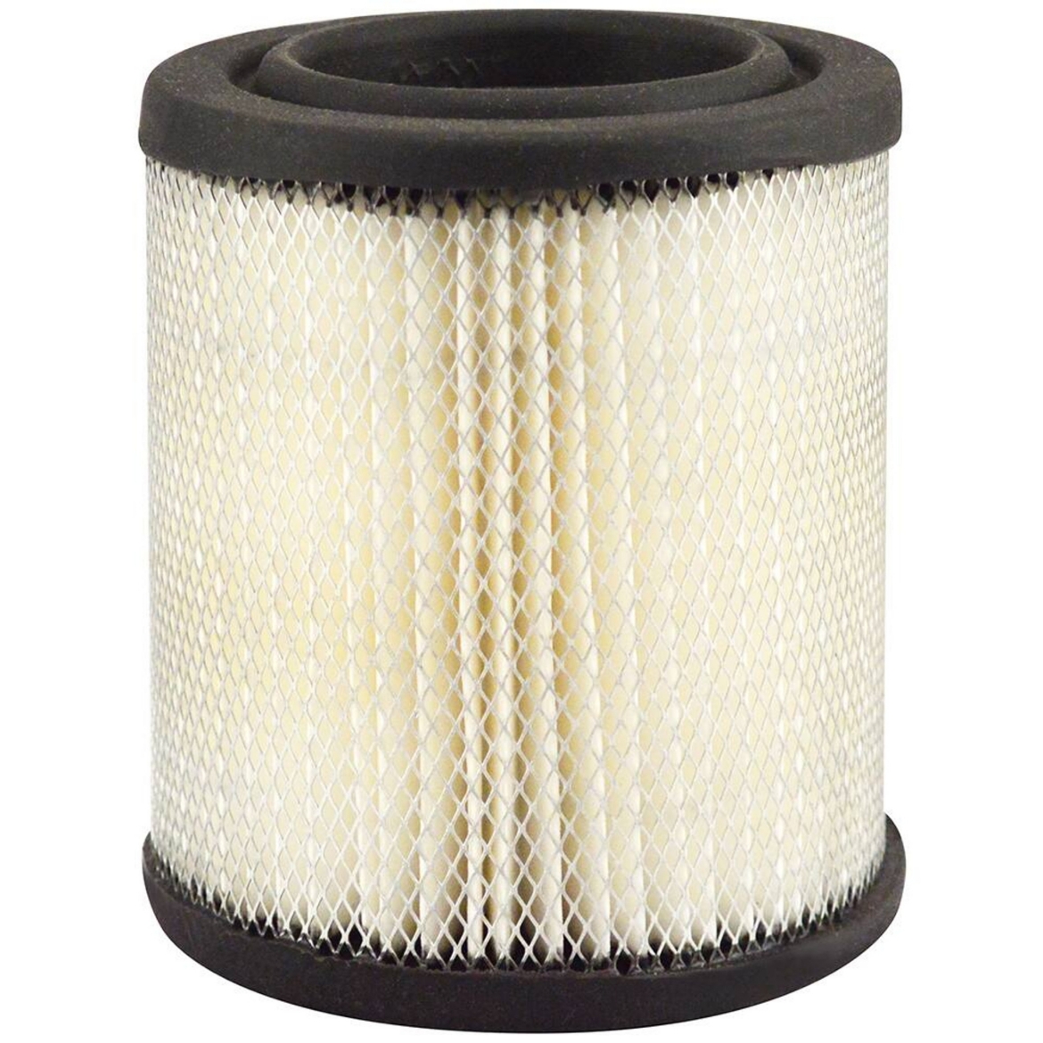 Picture of Filter, Air, Suit Lister Engine, Lister P/N:601-31350, Fleetguard AF25332
