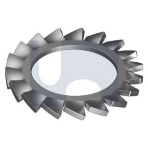 Picture for category Lock Washers