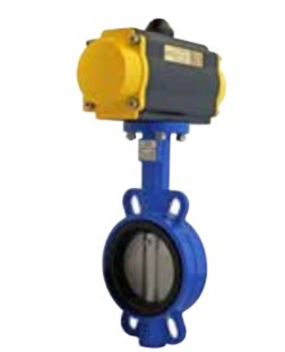 Picture of Butterfly Valve, 3", EPDM Seals, Cast Iron, Double Acting, Air Actuated