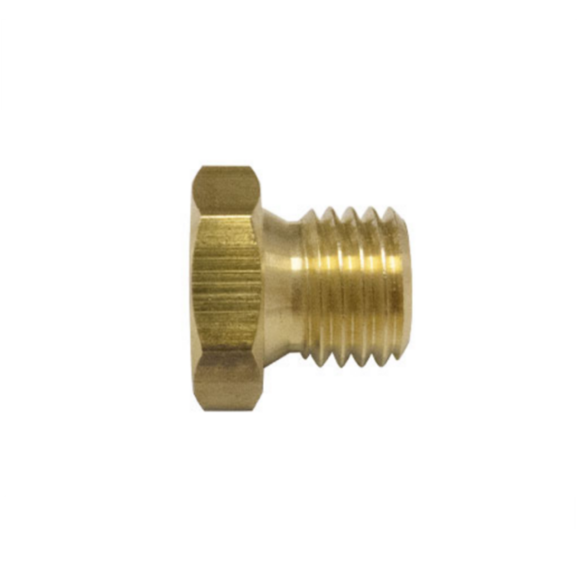 Picture of Plug, Brass, Metric M22 x 1.5