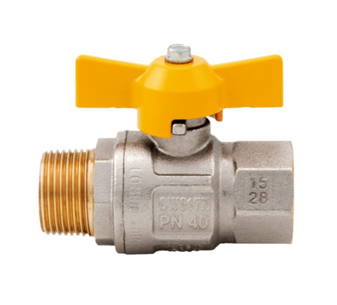 Picture of Ball Valve, T-Handle, Full Bore, 3/4" BSP, Male x Fem