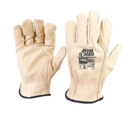 Picture for category Gloves