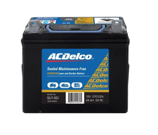 Picture of Battery, ACDelco, Maintenance Free (12 Months Warranty)