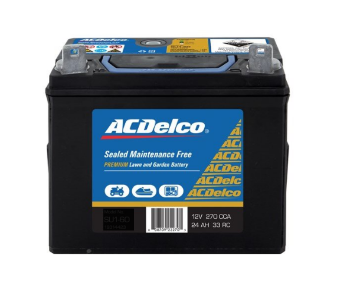 Picture of Battery, ACDelco, Maintenance Free (12 Months Warranty)