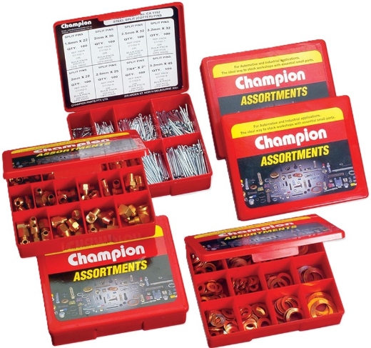 Picture for category CHAMPION