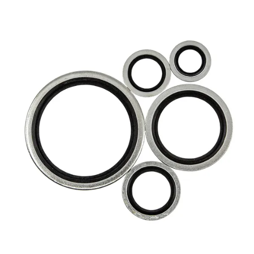 Picture for category Dowty Seals