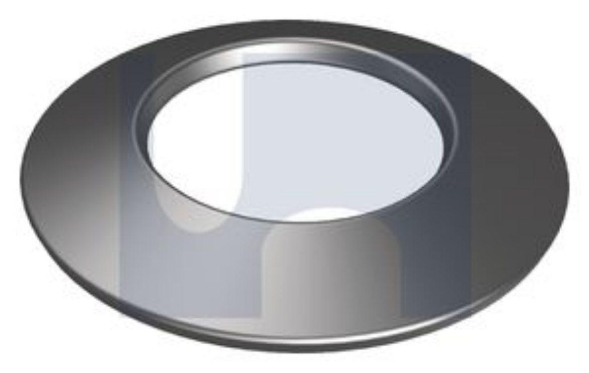 Picture of Washer, Belleville, 10mm, Stainless 304 (Coned Washers)