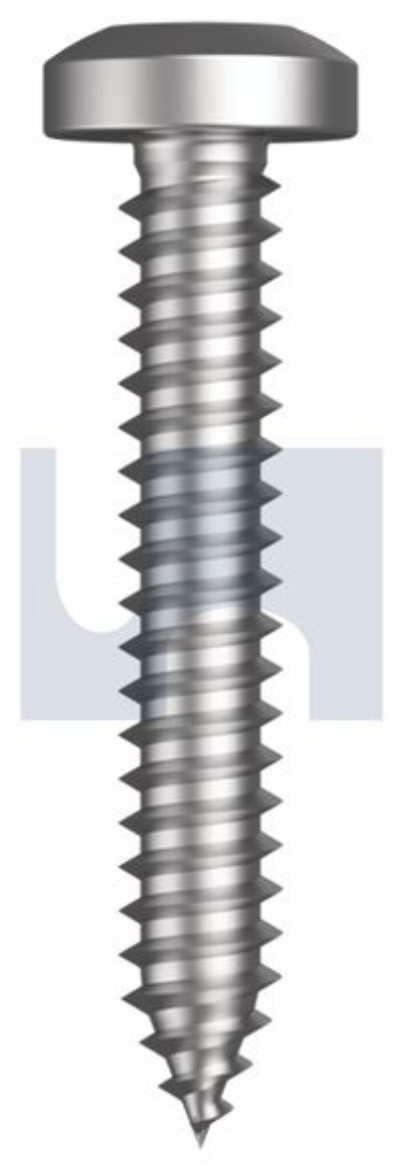 Picture of SF SELF TAPPER PAN PHIL, #10 x 1/2", STAINLESS 304, 100 PER BAG